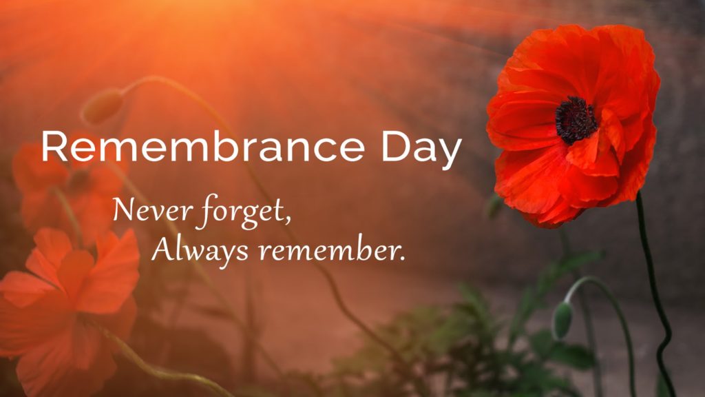 what-is-the-significance-of-the-poppy-on-remembrance-day-terra-crest