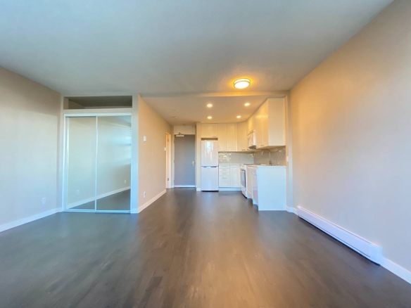 Bright Pet Friendly Studio In Mount Pleasant