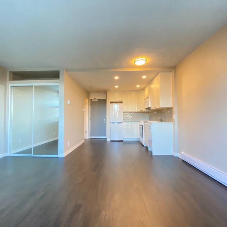 Bright Pet Friendly Studio In Mount Pleasant