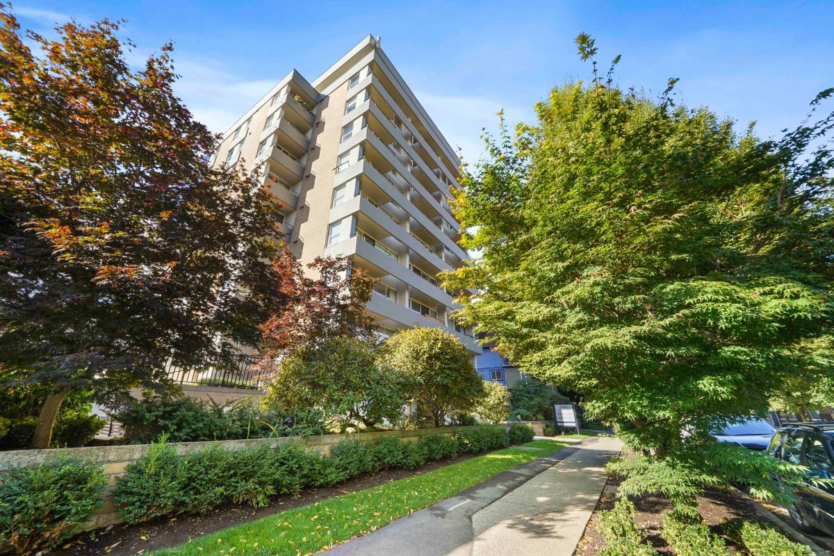 Bright Pet Friendly Studio In Mount Pleasant