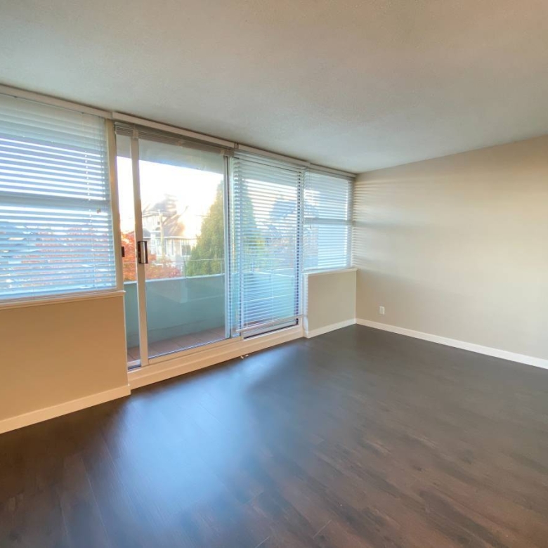 Bright Pet Friendly Studio In Mount Pleasant