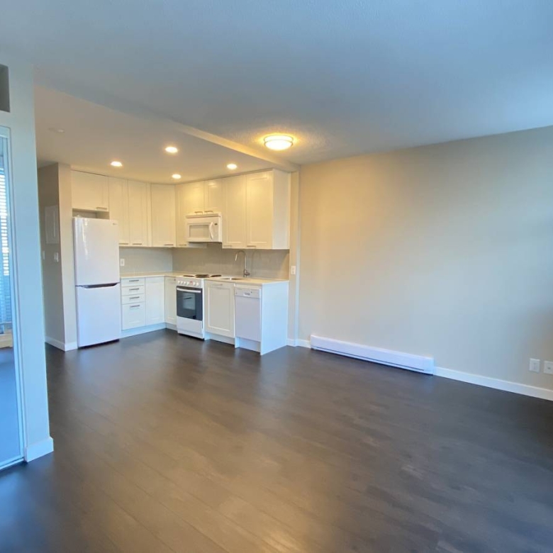 Bright Pet Friendly Studio In Mount Pleasant