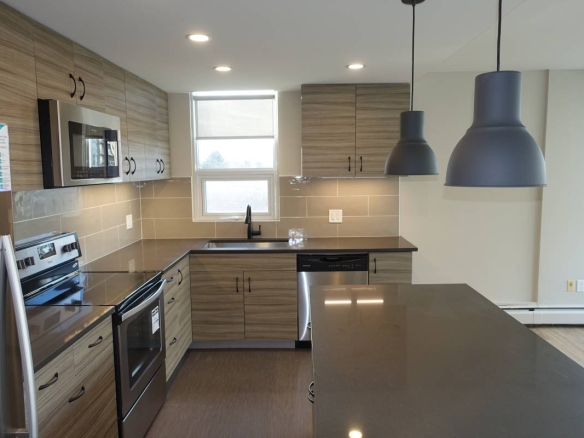 Pet Friendly 575 sqft 1 Bedroom With Laundry In South Granville!