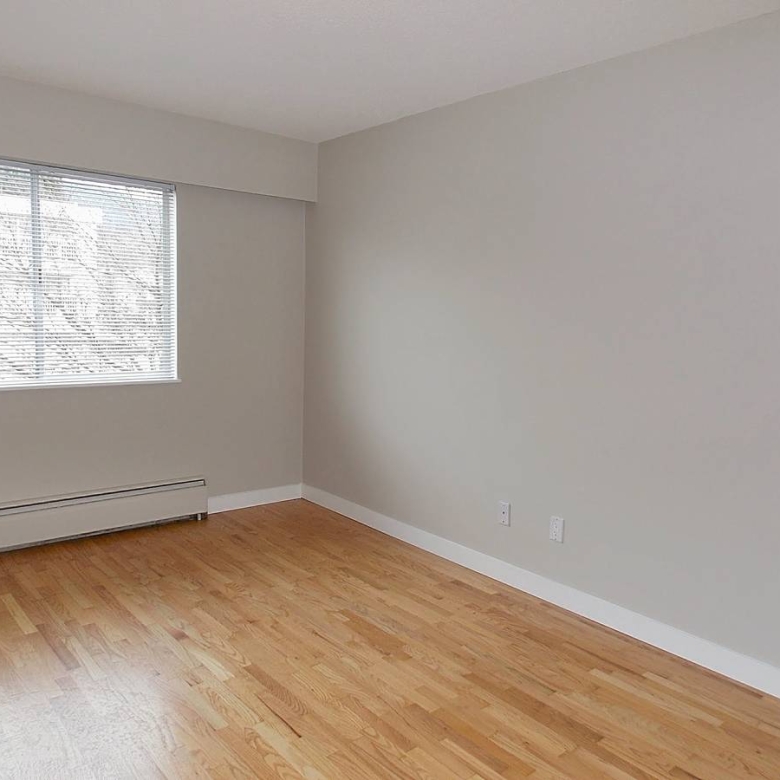 Pet Friendly 725 sqft 1 Bedroom Unit In Central Lonsdale