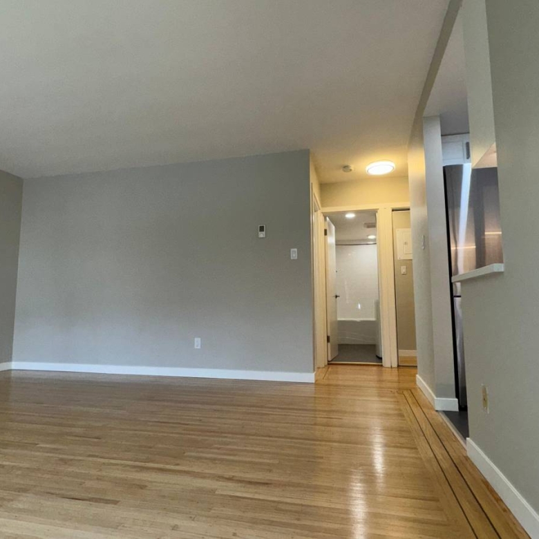  Cat Friendly 1 Bedroom With Laundry In The West End