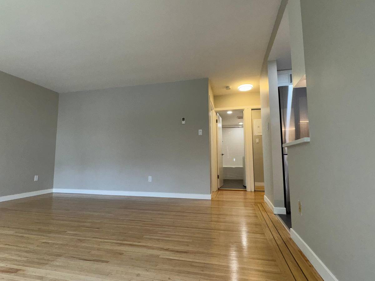  Cat Friendly 1 Bedroom With Laundry In The West End