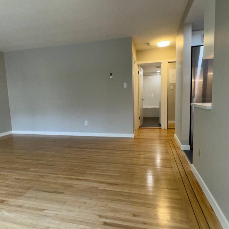  Cat Friendly 1 Bedroom With Laundry In The West End