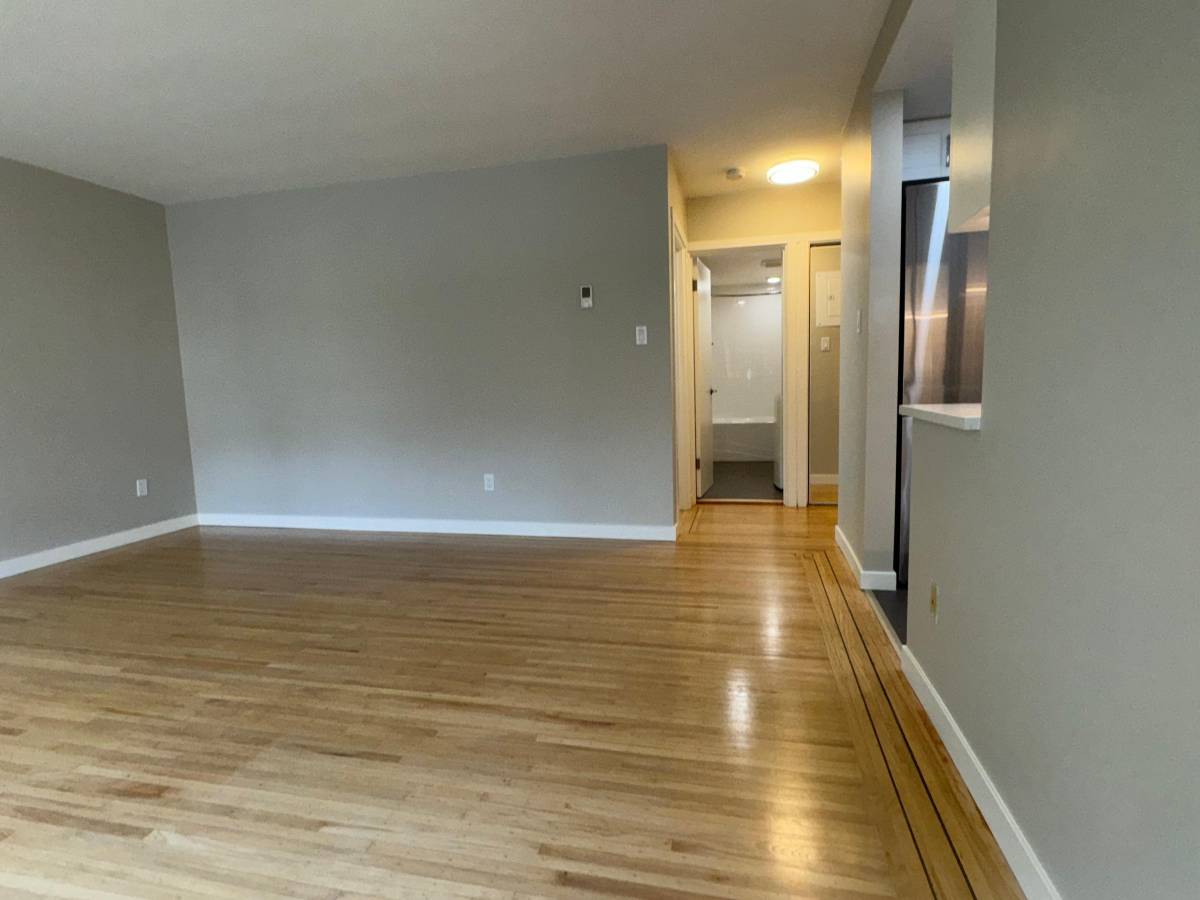  Cat Friendly 1 Bedroom With Laundry In The West End