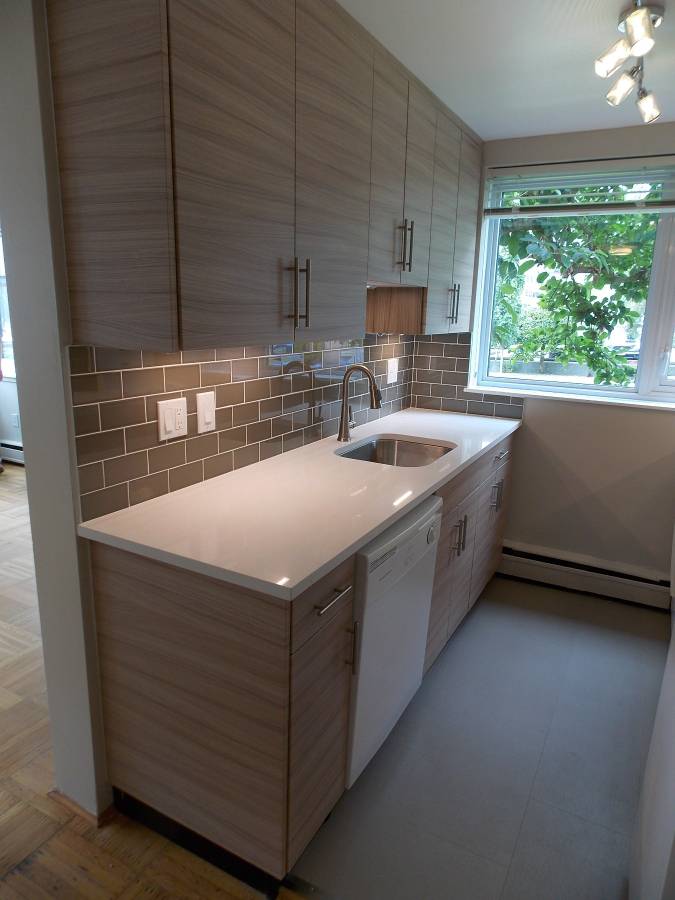 1 Bedroom 650 sqft Cat Friendly Unit In The West End