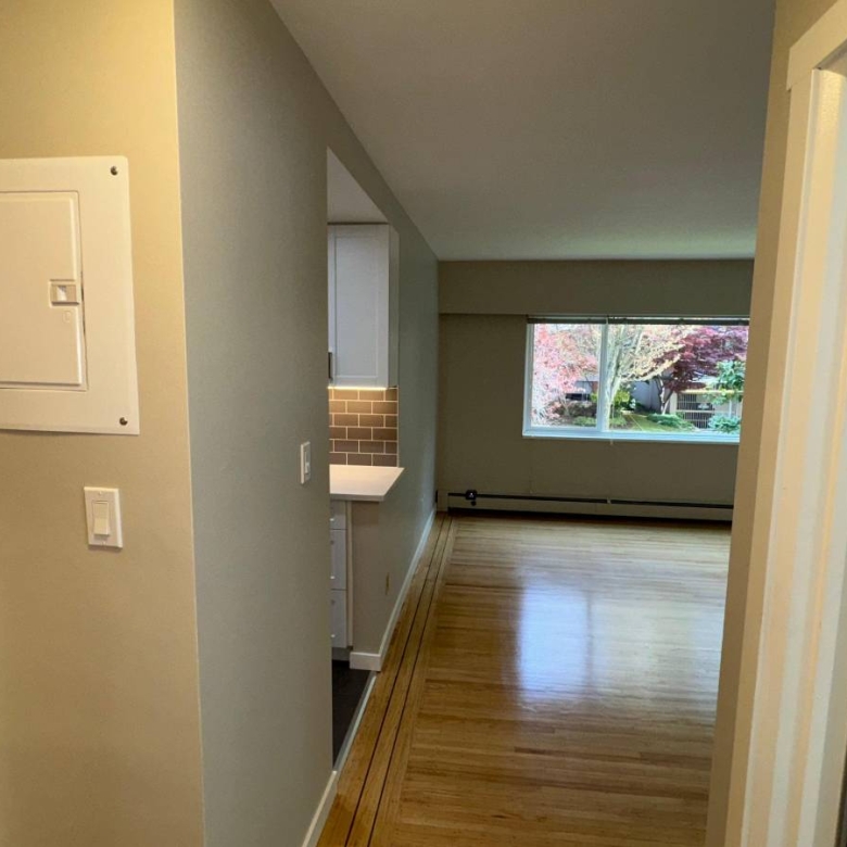  Cat Friendly 1 Bedroom With Laundry In The West End