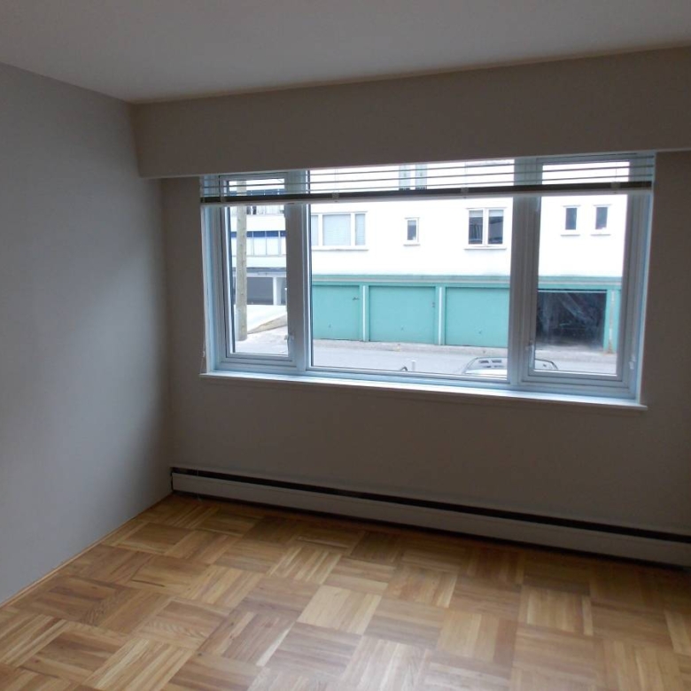 1 Bedroom 650 sqft Cat Friendly Unit In The West End