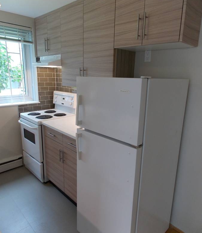 1 Bedroom 650 sqft Cat Friendly Unit In The West End