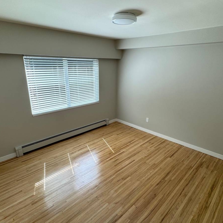  Cat Friendly 1 Bedroom With Laundry In The West End