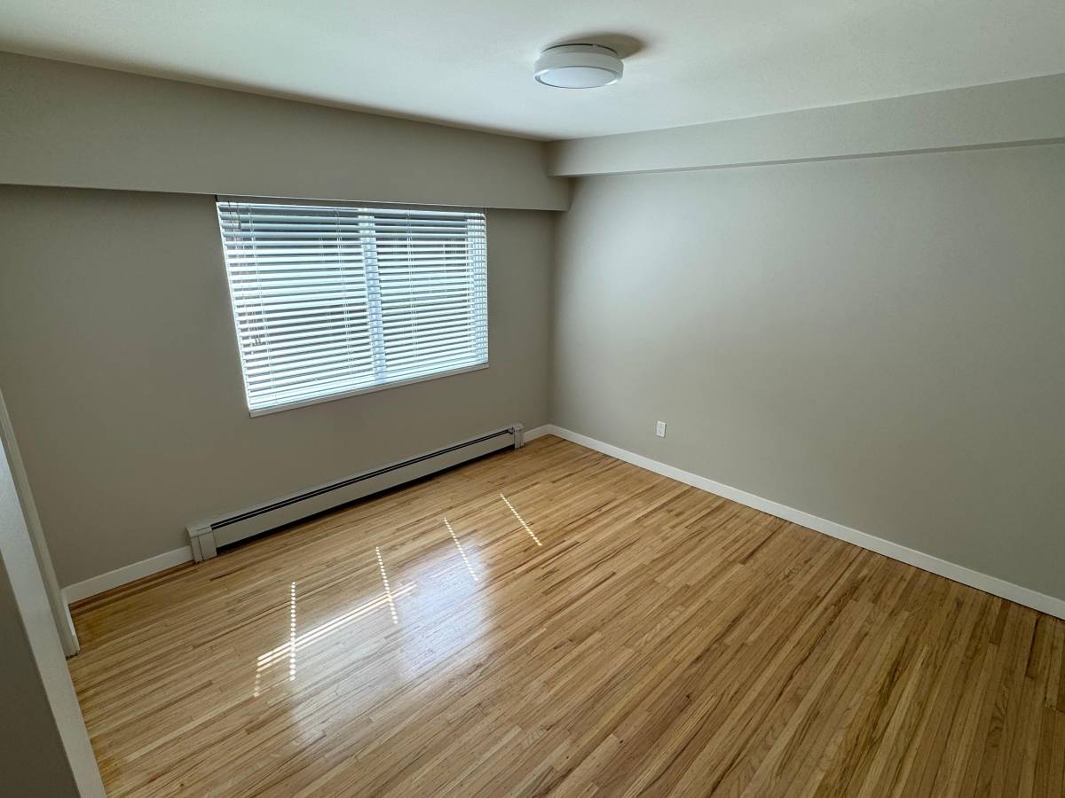  Cat Friendly 1 Bedroom With Laundry In The West End