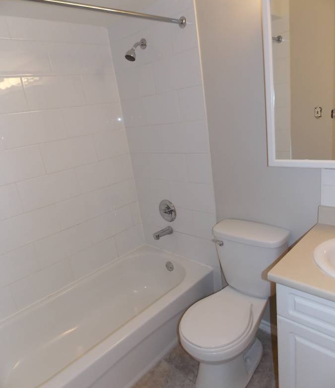 1 Bedroom 650 sqft Cat Friendly Unit In The West End