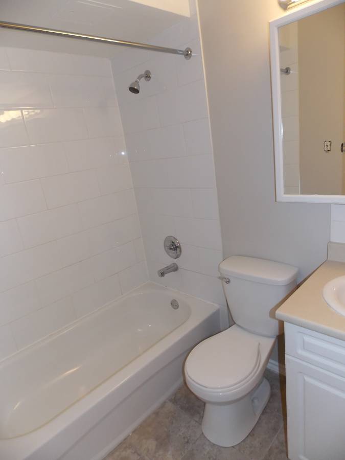1 Bedroom 650 sqft Cat Friendly Unit In The West End
