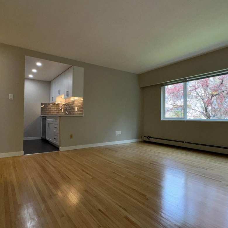  Cat Friendly 1 Bedroom With Laundry In The West End