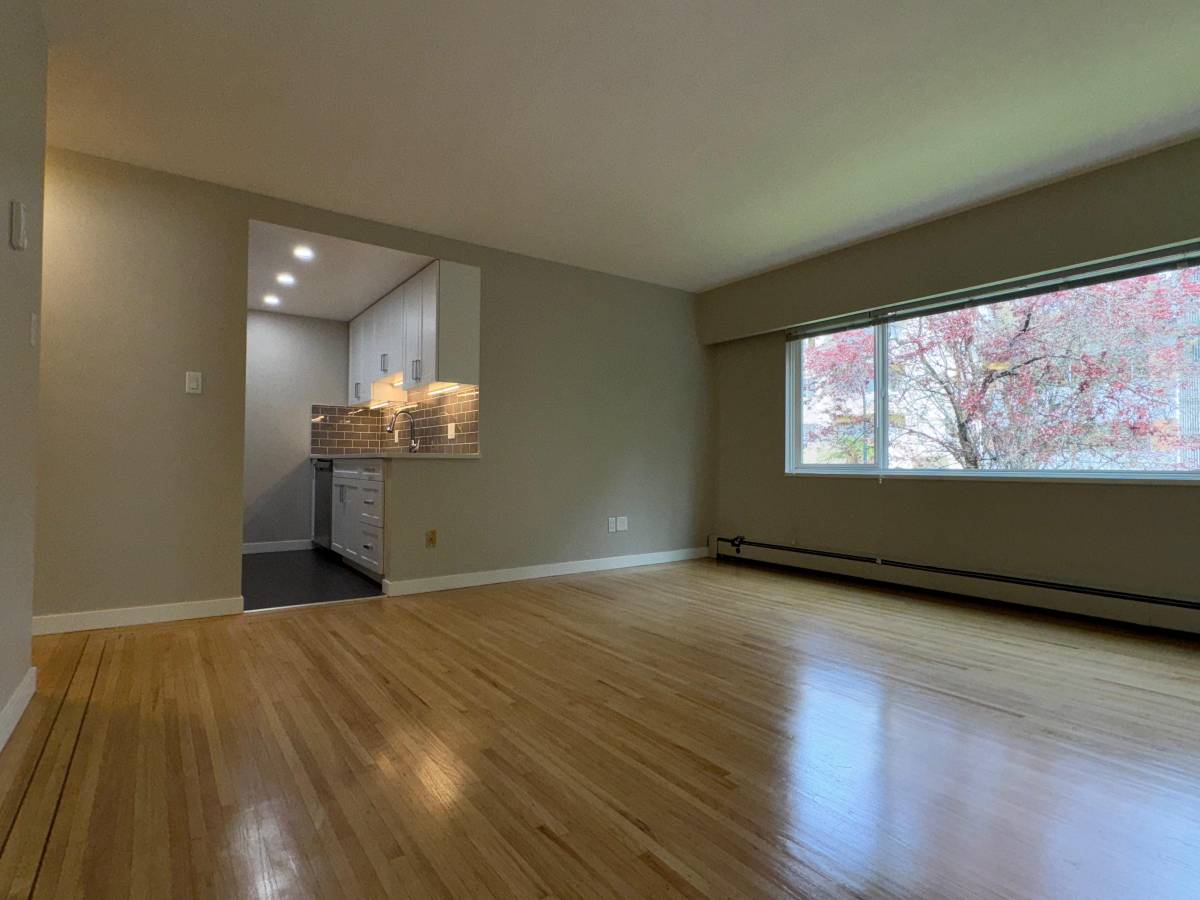  Cat Friendly 1 Bedroom With Laundry In The West End