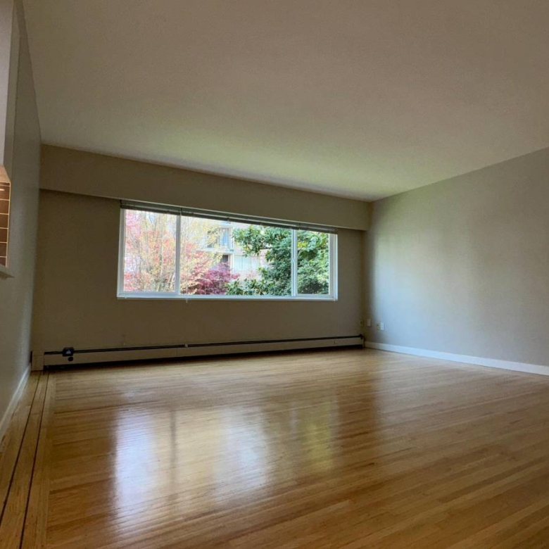  Cat Friendly 1 Bedroom With Laundry In The West End