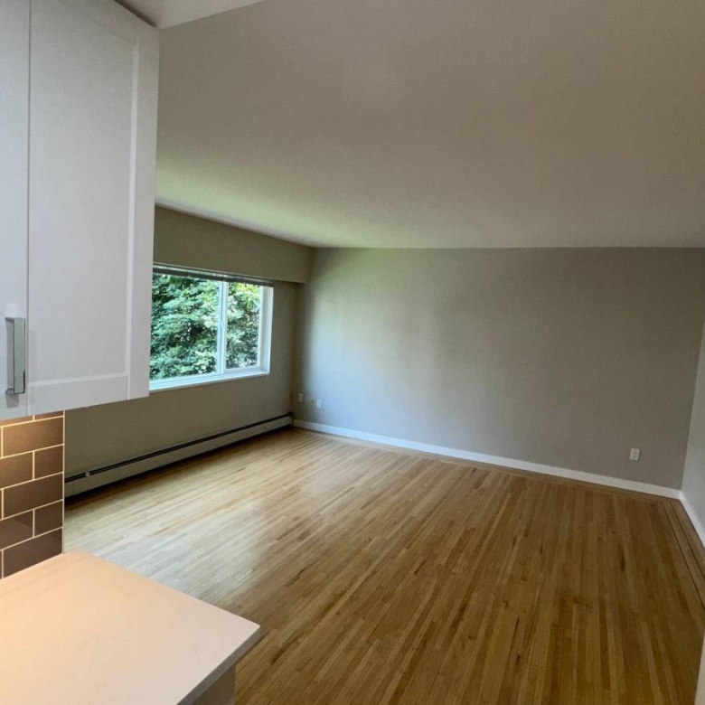  Cat Friendly 1 Bedroom With Laundry In The West End