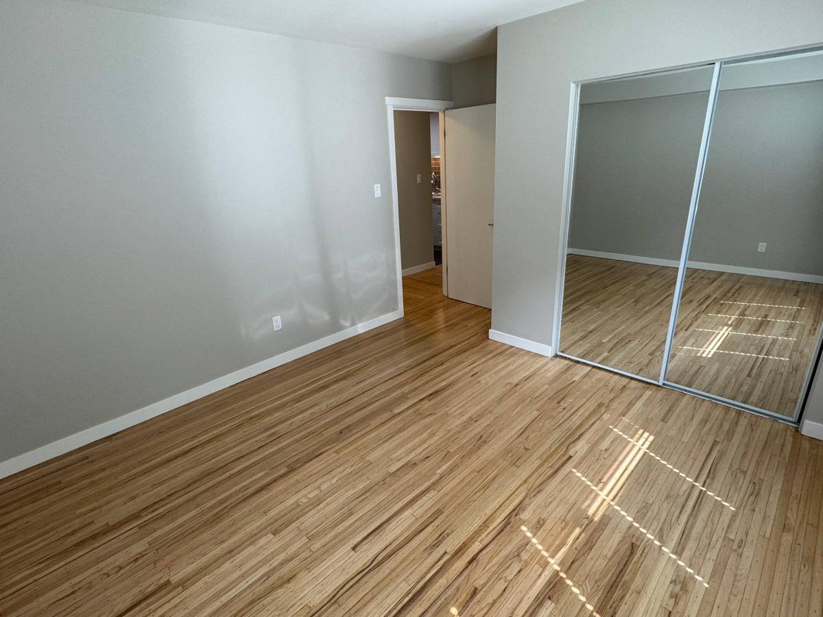  Cat Friendly 1 Bedroom With Laundry In The West End