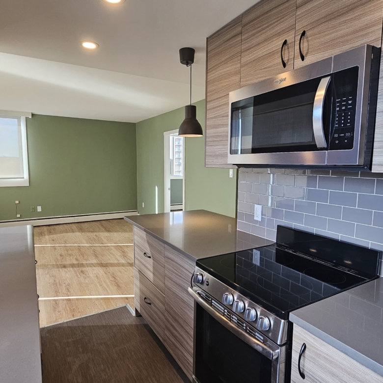Pet Friendly 1 Bedroom 530 sqft Unit In South Granville