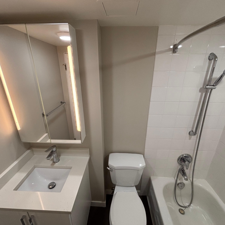 Renovated and Bright Pet Friendly Studio In Mount Pleasant