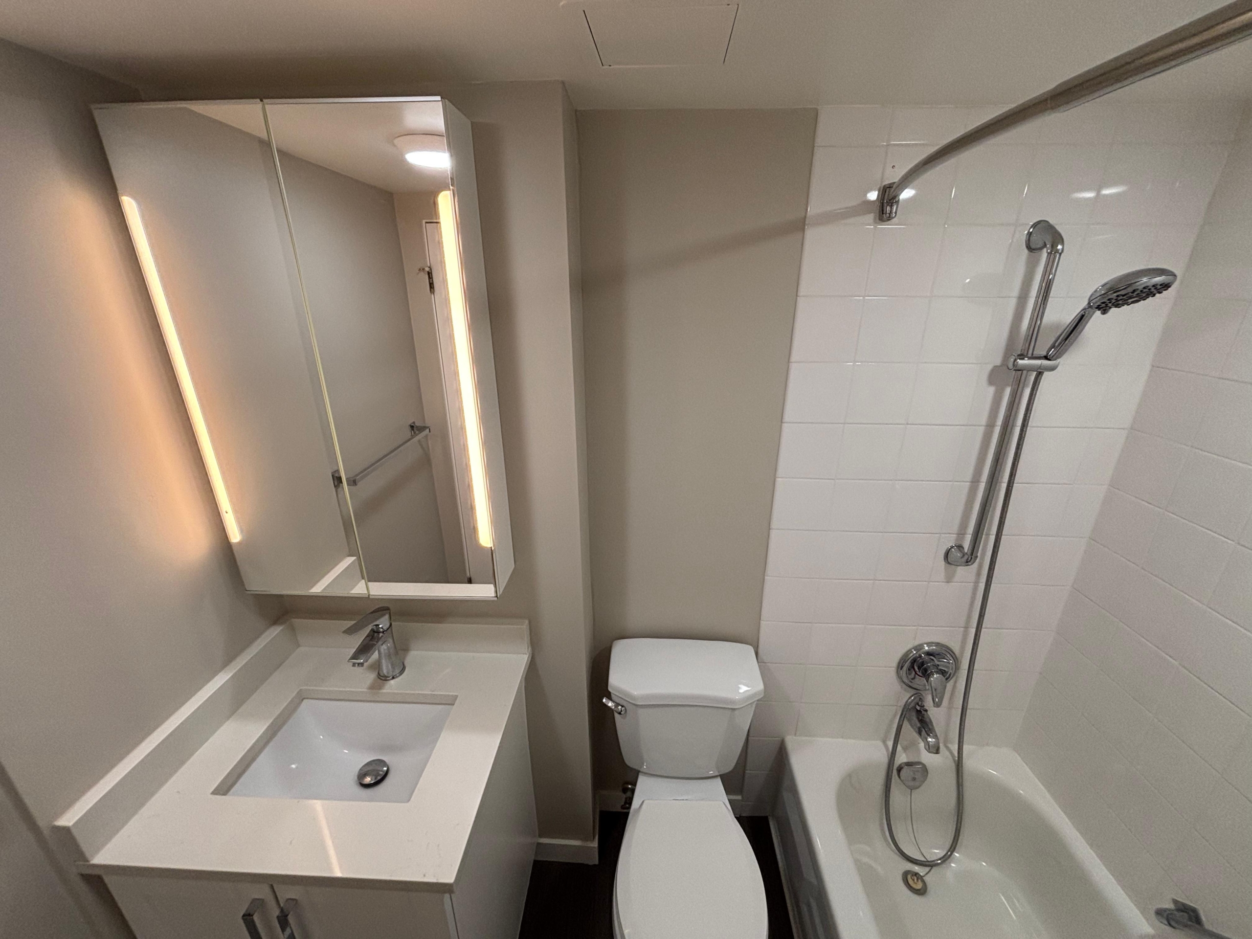 Renovated and Bright Pet Friendly Studio In Mount Pleasant