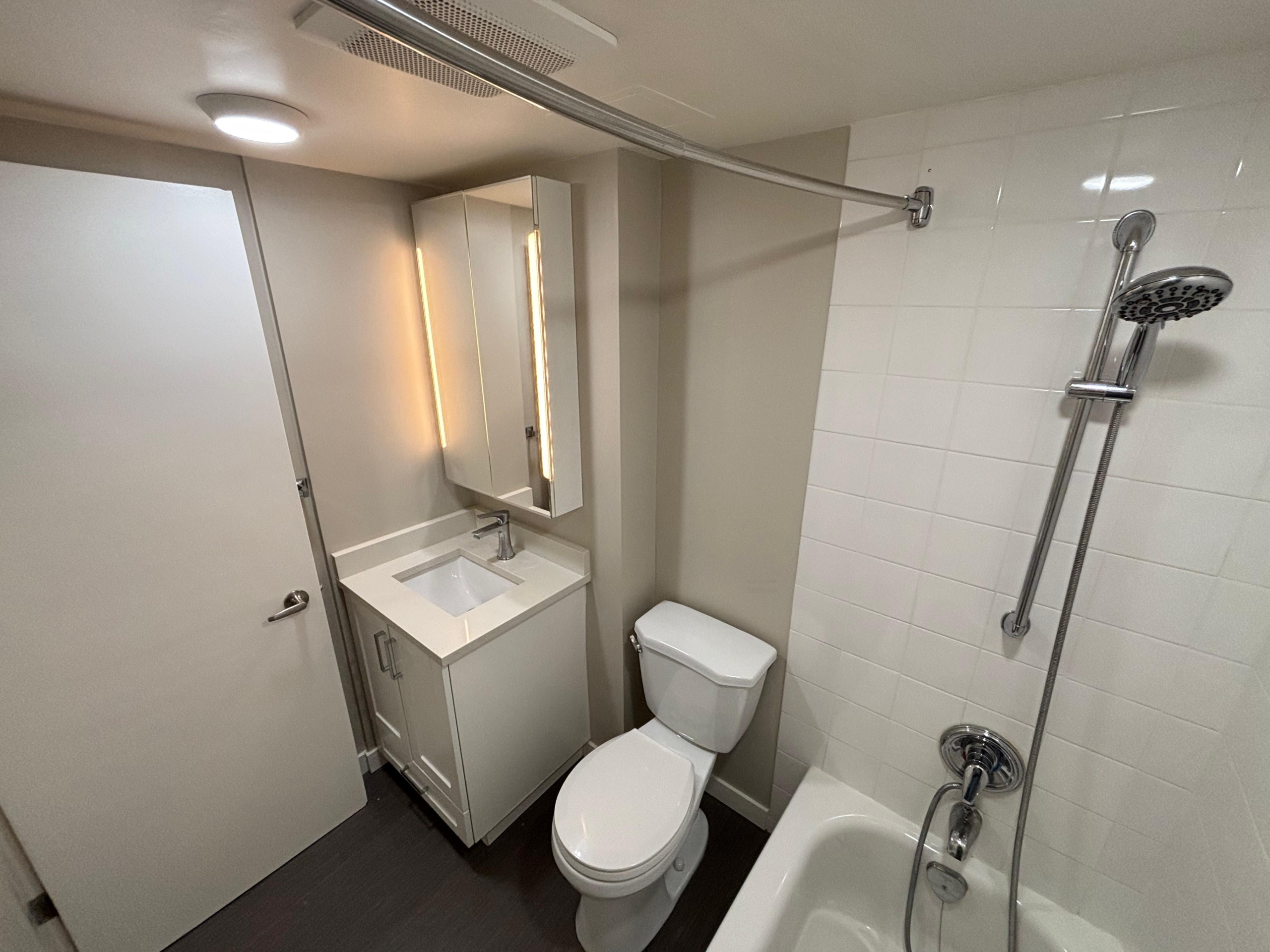 Renovated and Bright Pet Friendly Studio In Mount Pleasant