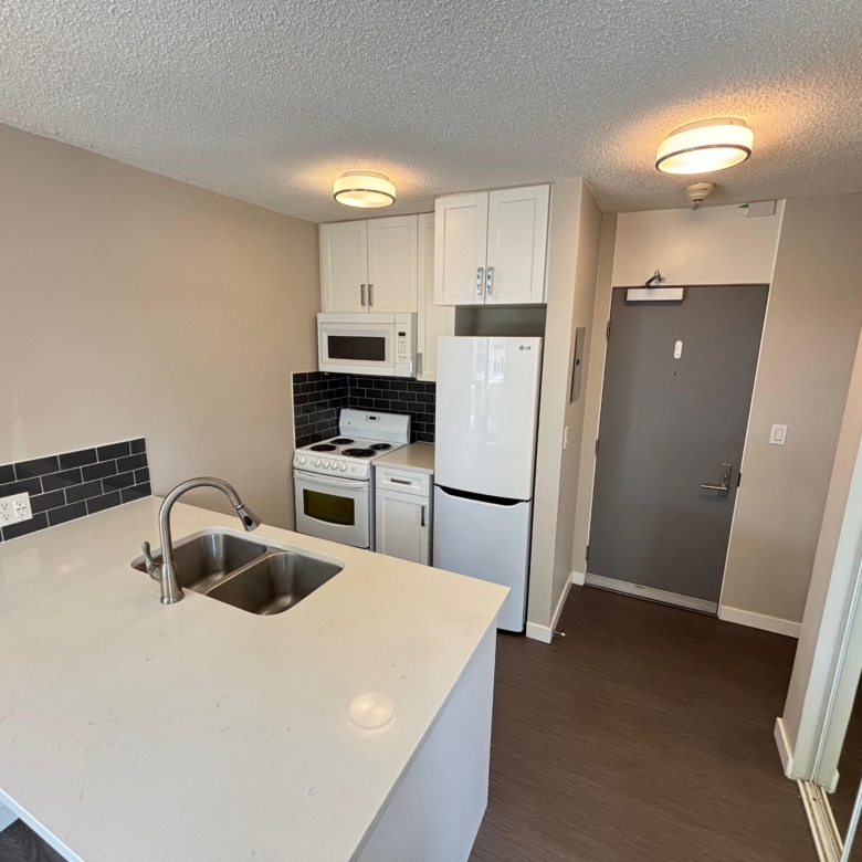 Renovated and Bright Pet Friendly Studio In Mount Pleasant