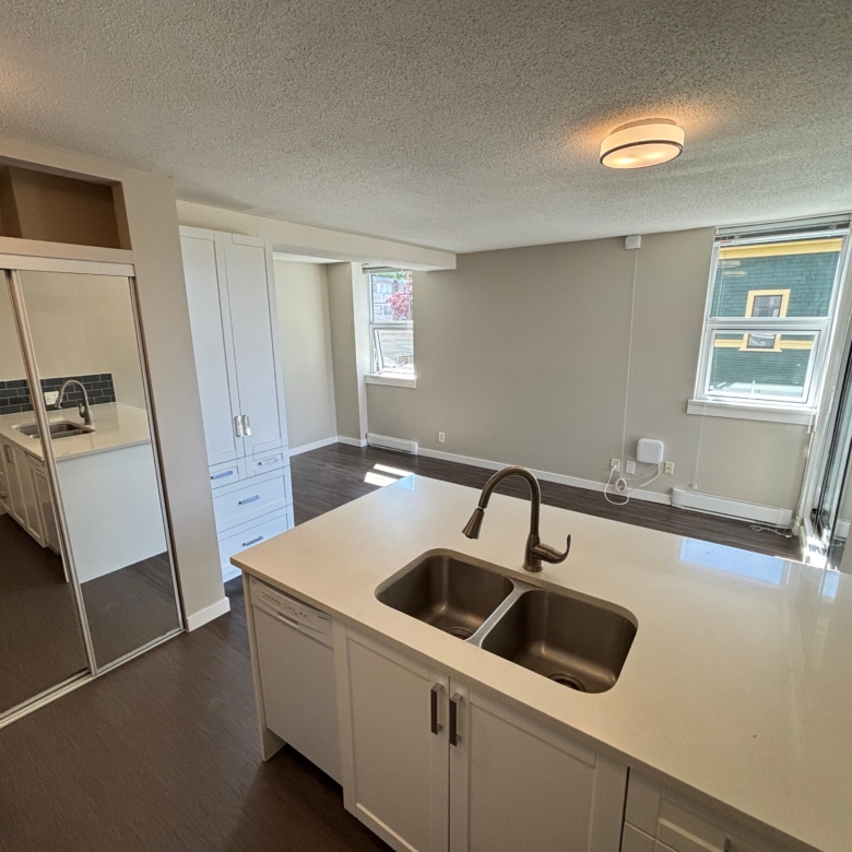 Renovated and Bright Pet Friendly Studio In Mount Pleasant
