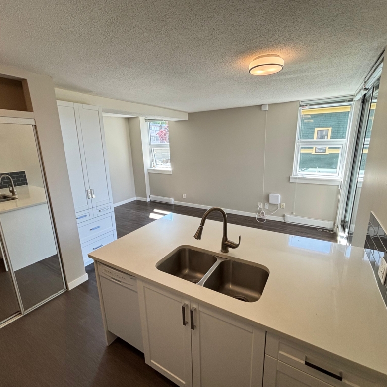 Renovated and Bright Pet Friendly Studio In Mount Pleasant
