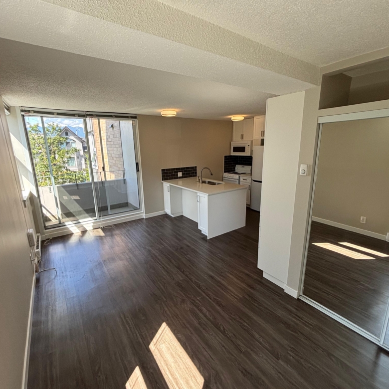 Renovated and Bright Pet Friendly Studio In Mount Pleasant
