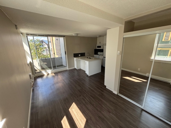 Renovated and Bright Pet Friendly Studio In Mount Pleasant