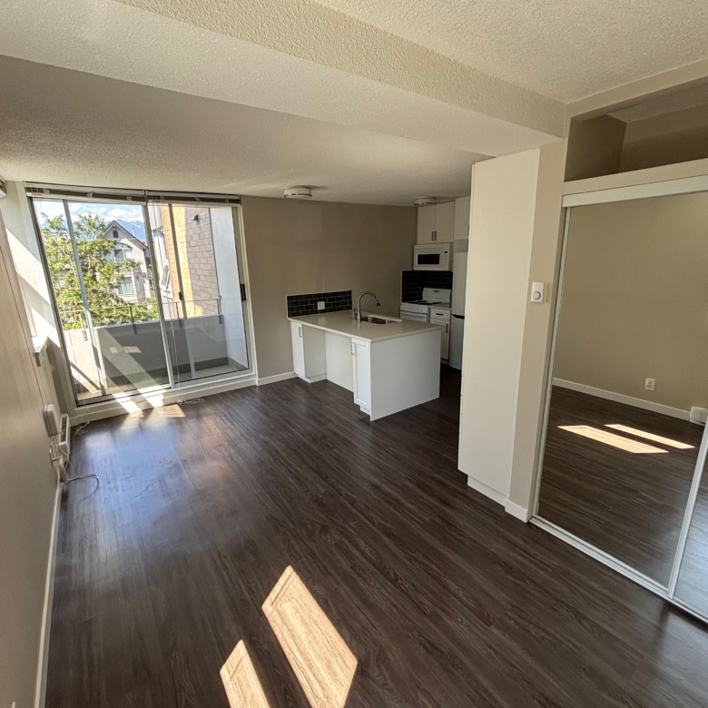Renovated and Bright Pet Friendly Studio In Mount Pleasant