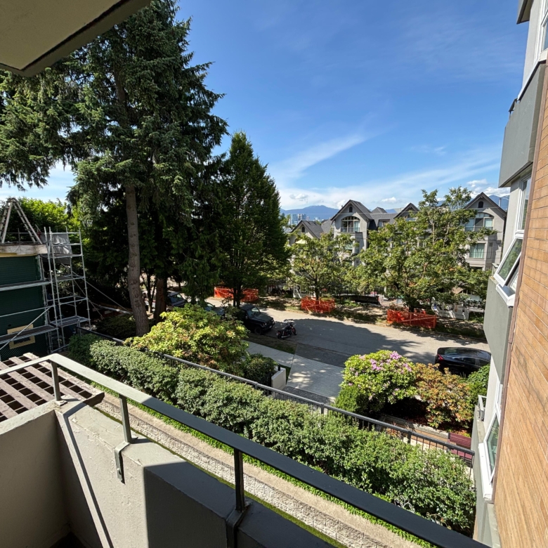 Renovated and Bright Pet Friendly Studio In Mount Pleasant