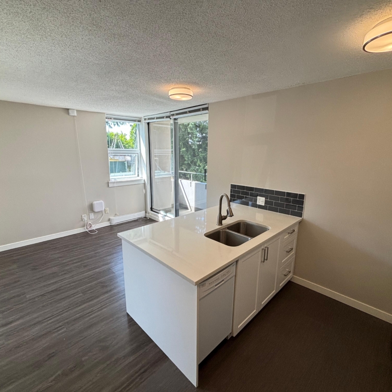 Renovated and Bright Pet Friendly Studio In Mount Pleasant