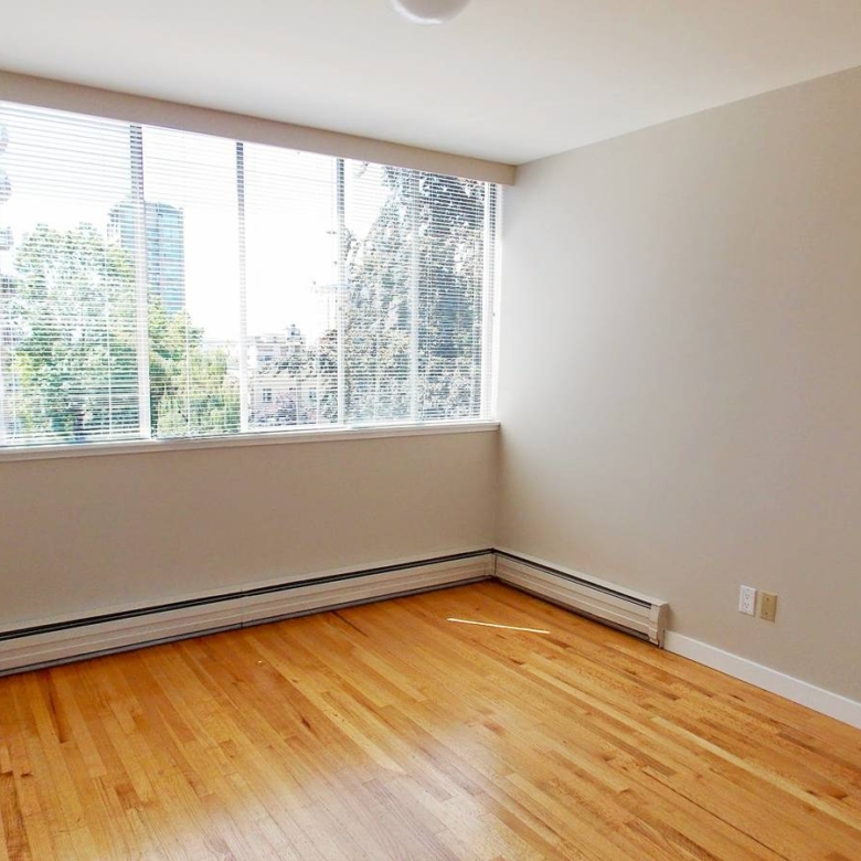 Pet Friendly 1 Bedroom Unit In The West End