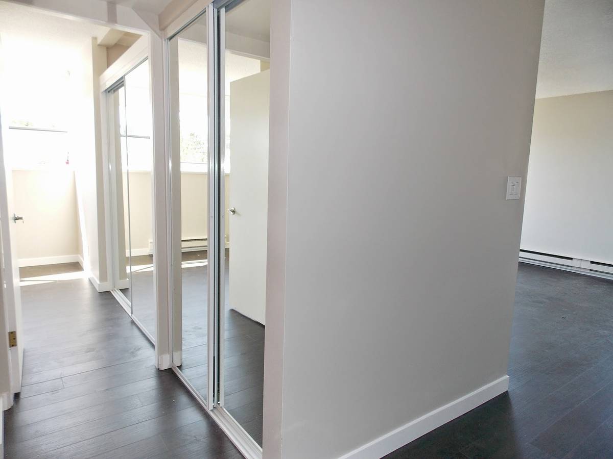 Pet Friendly 1 Bedroom Unit In Mount Pleasant