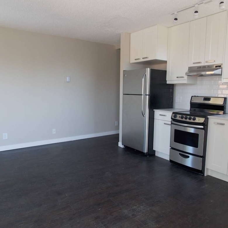 Pet Friendly 1 Bedroom Unit In Mount Pleasant