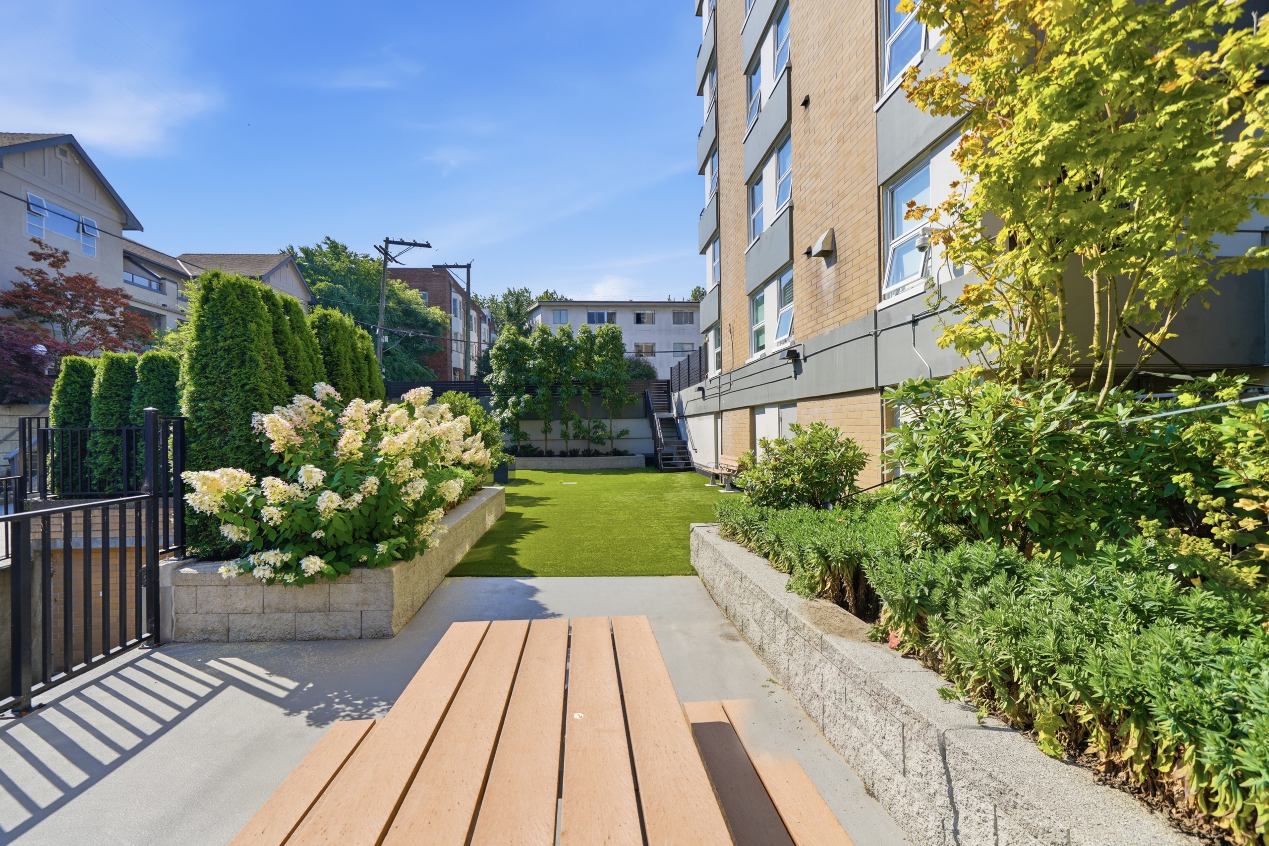 Bright Pet Friendly Studio In Mount Pleasant
