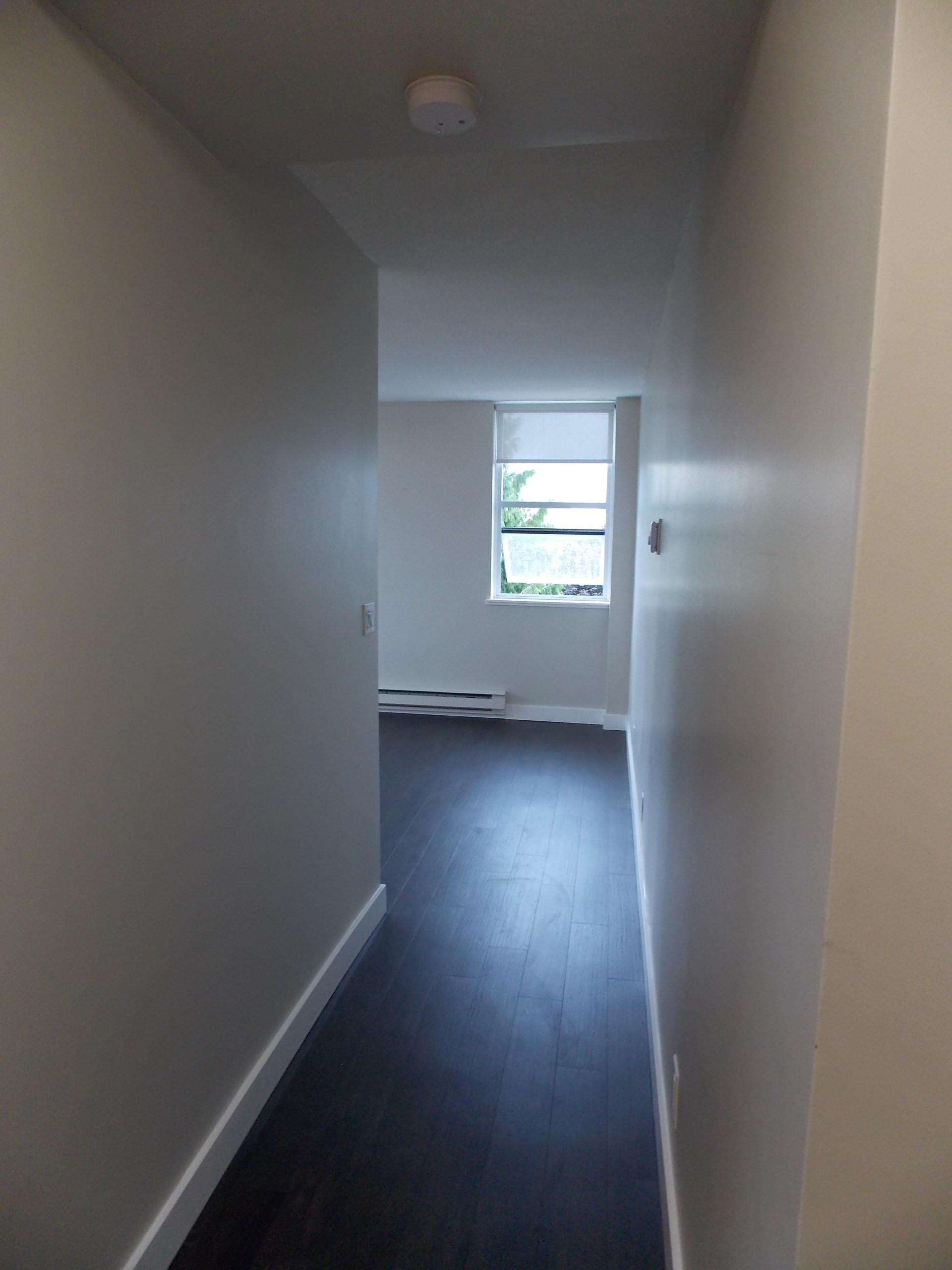 Pet Friendly 1 Bedroom Unit In Mount Pleasant