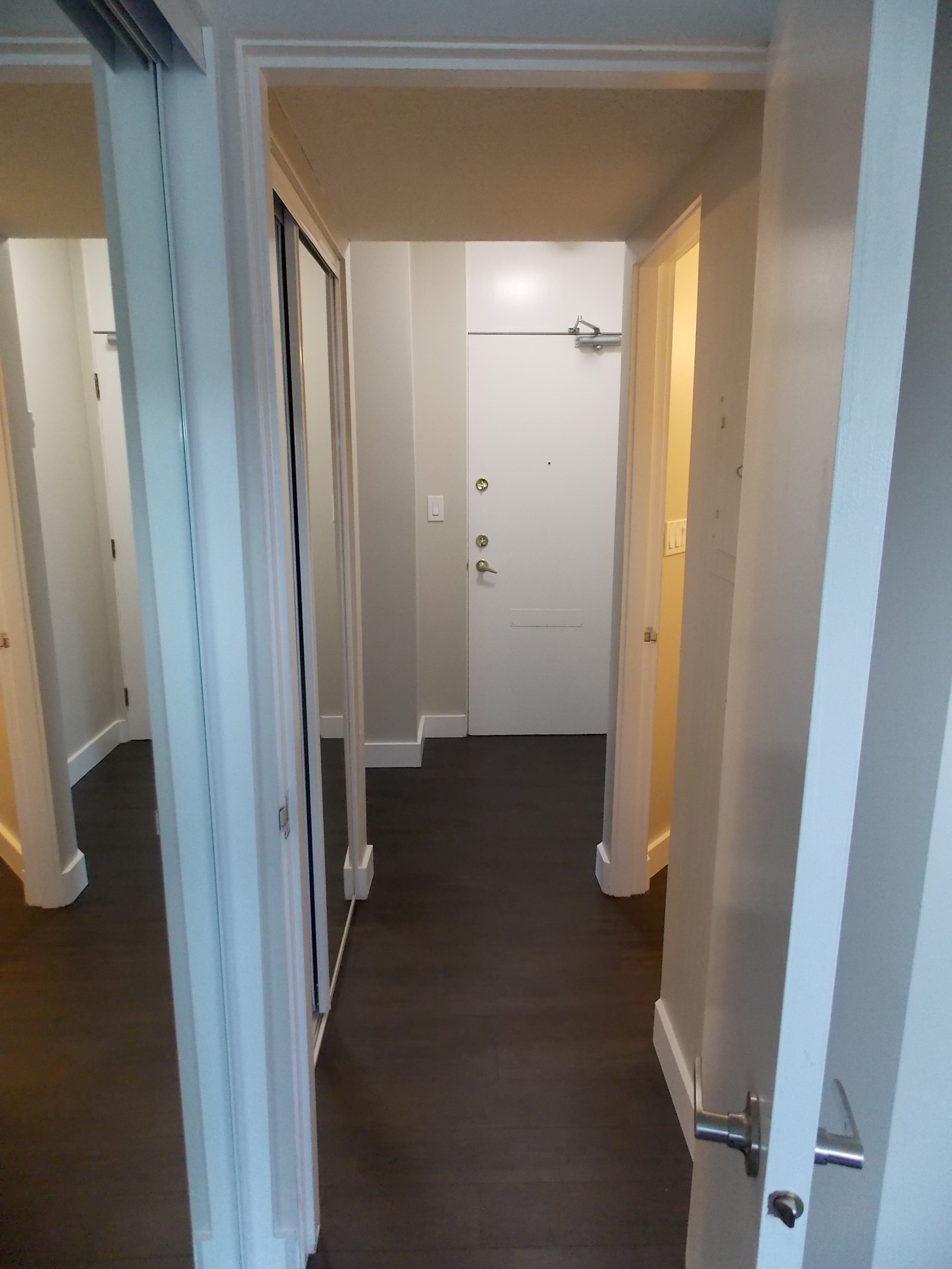 Pet Friendly 1 Bedroom Unit In Mount Pleasant
