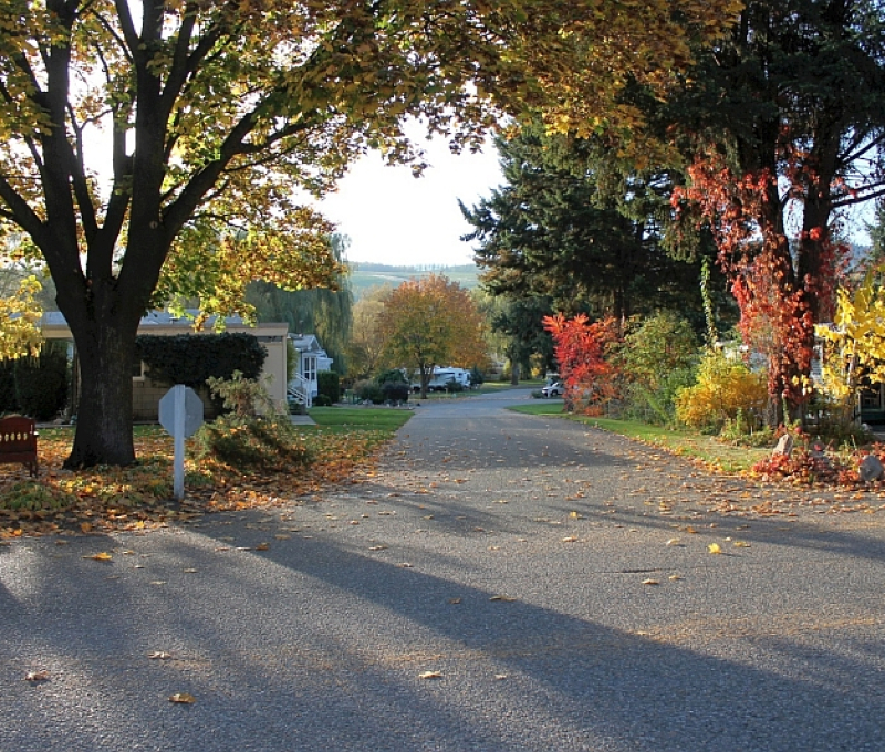 Fall-picture